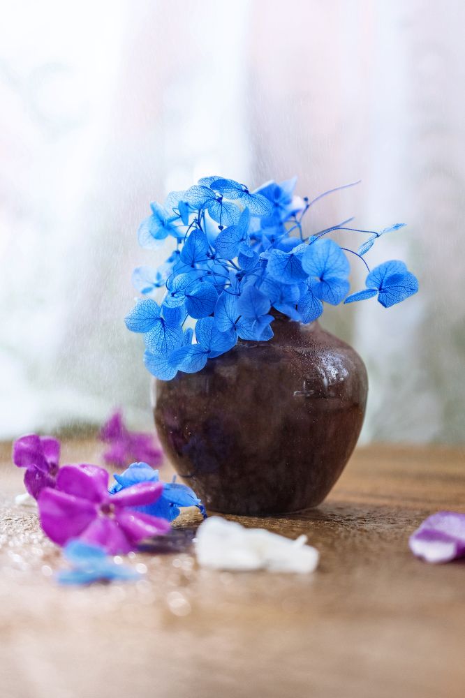 Photograph by Елена Невидимова