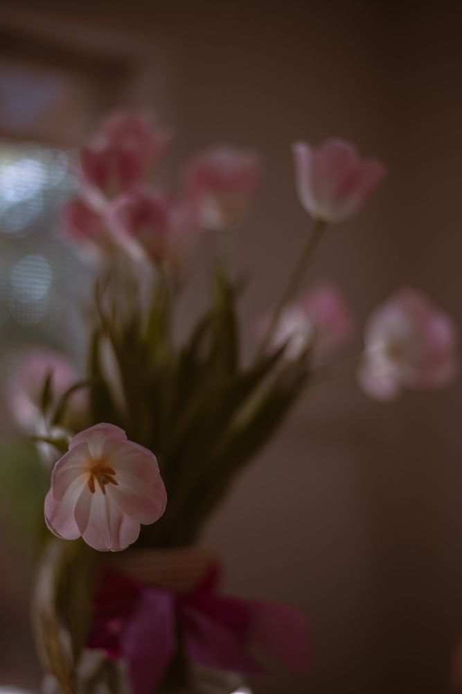 Photograph by Anna Vlasova