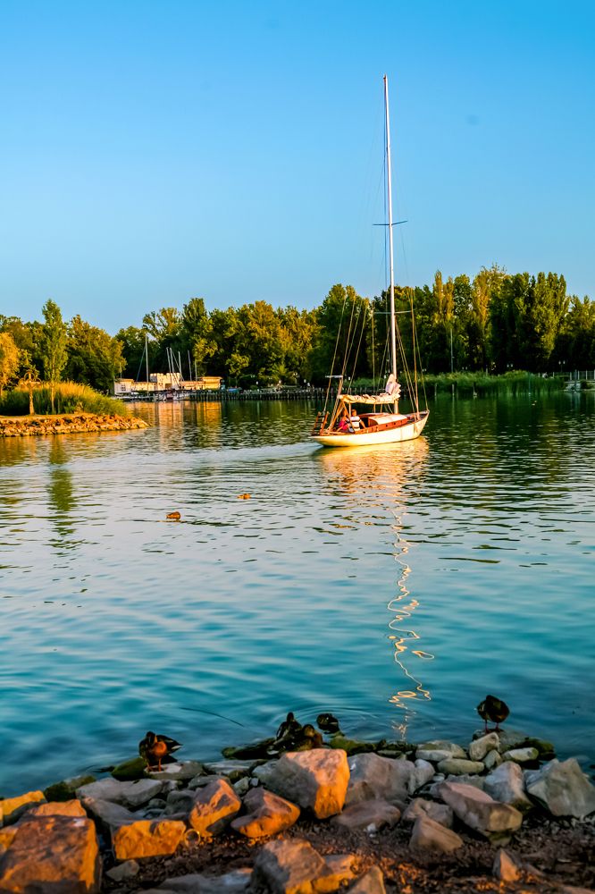 Фотография автора Nomin Jerabek