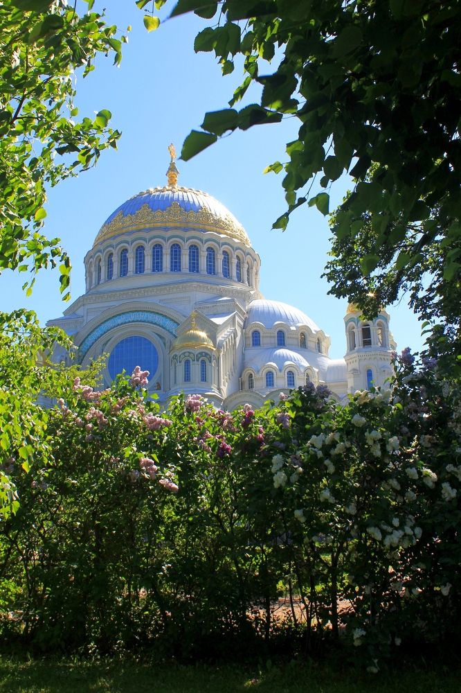 Photograph by Olga Bagaeva