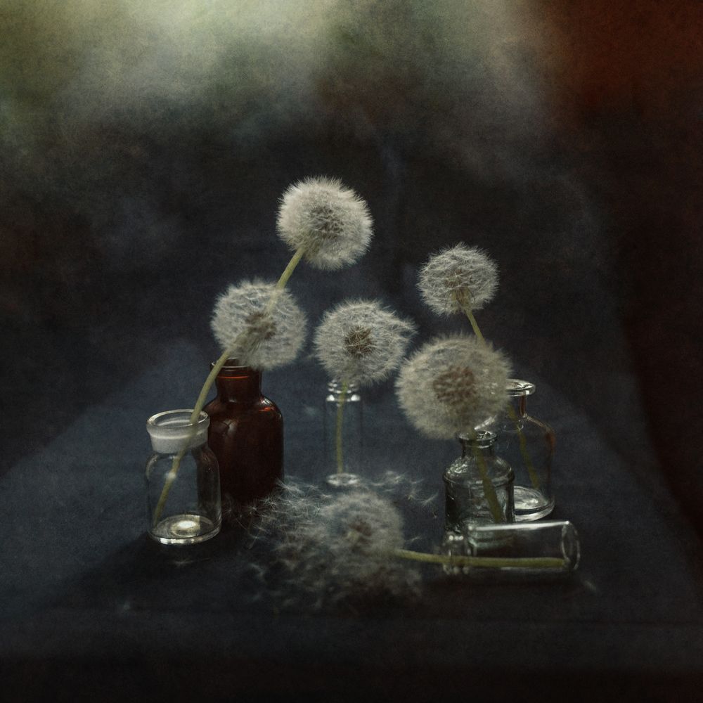 Photograph by Татьяна Скородумова