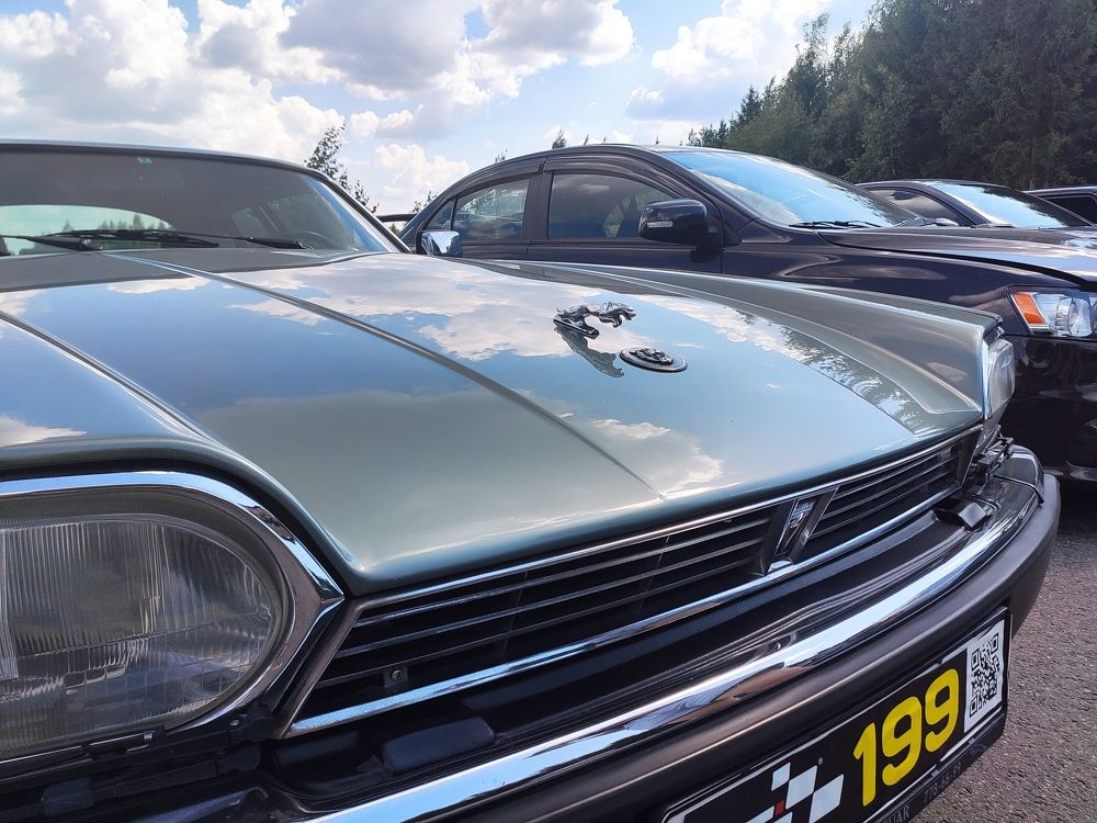 Photograph by Алексей Ларин