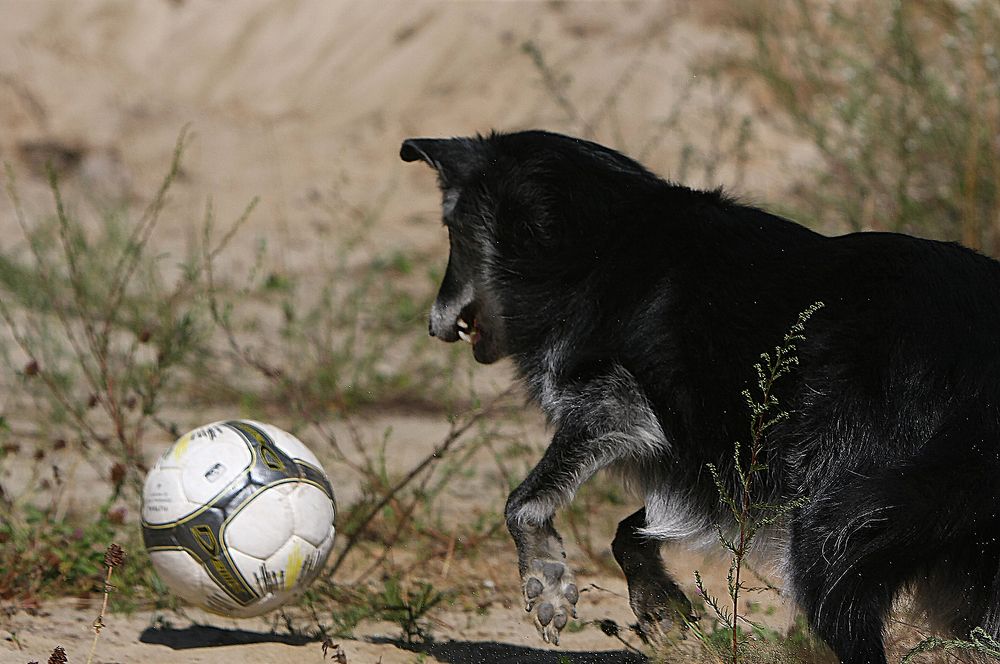 Фотография автора Надежда Лисицына