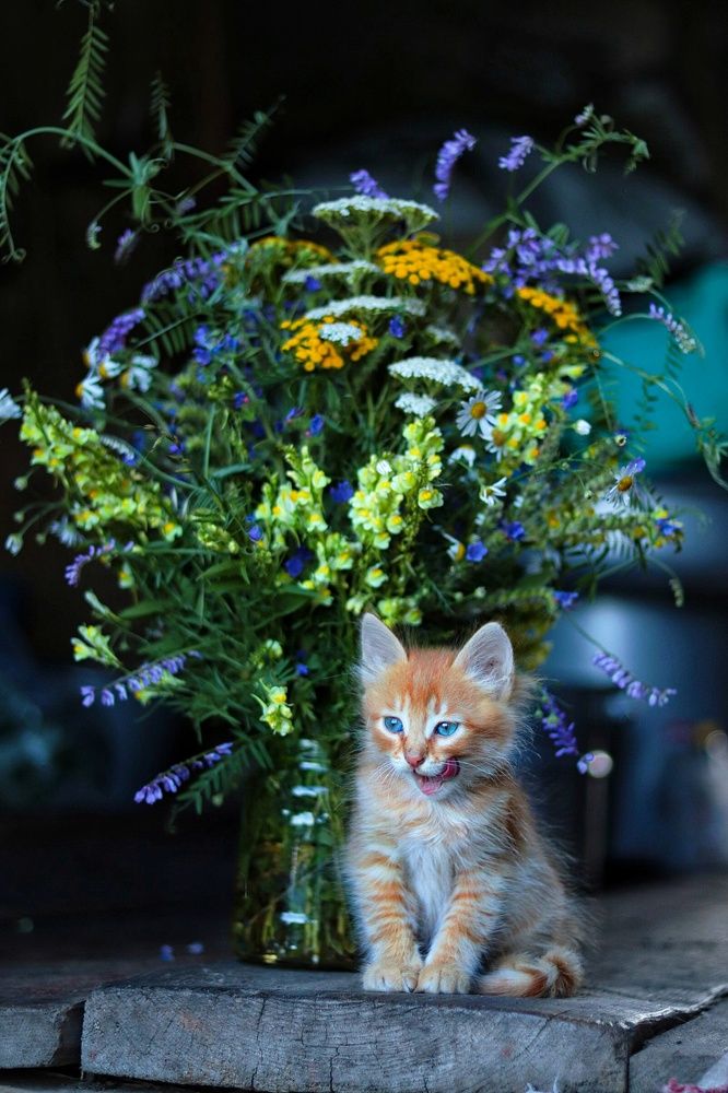 Photograph by Анна Дубинина