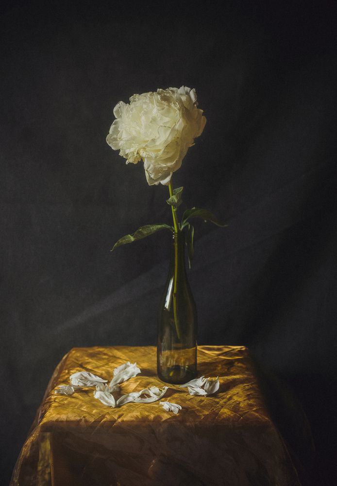 Photograph by Анастасия Кузьмина