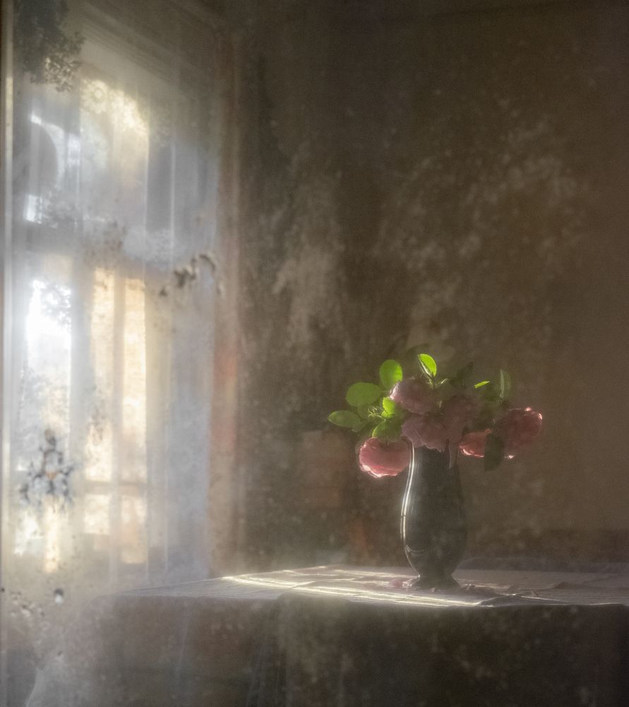 Летний вечер