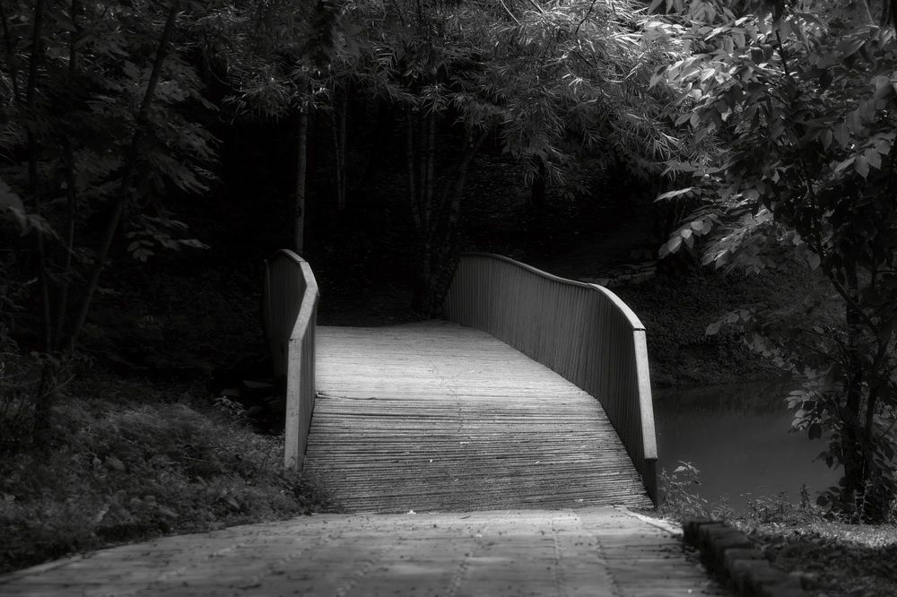 Photograph by Елена Ласун