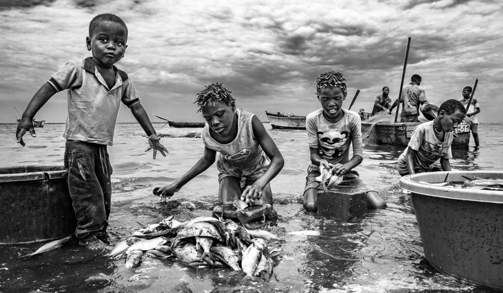 Photograph by Joao Coelho