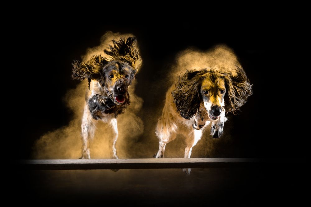 Photograph by Ирина Ивановна