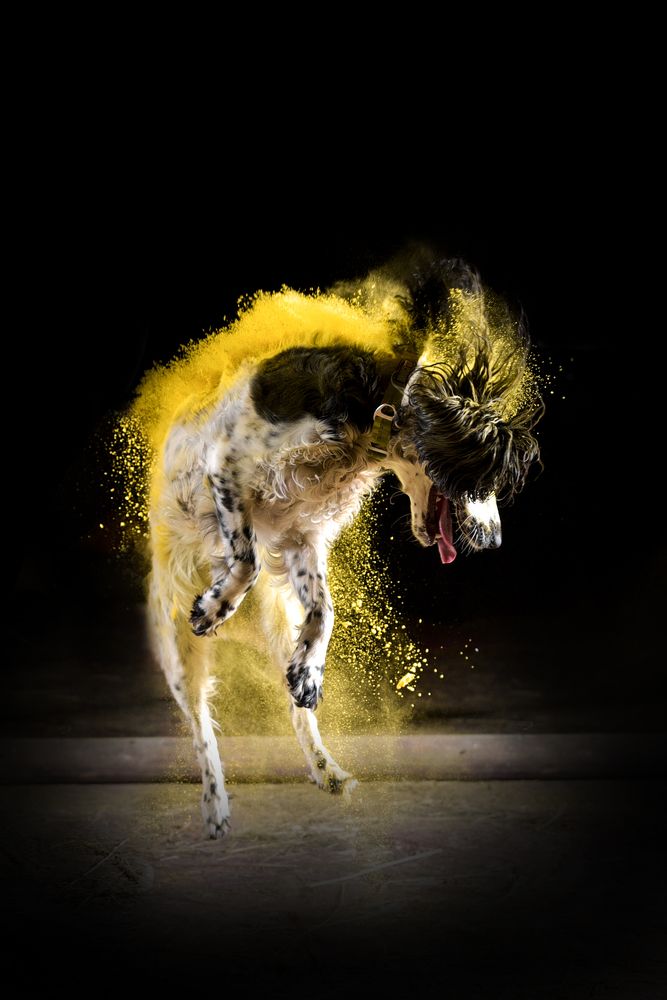 Photograph by Ирина Ивановна