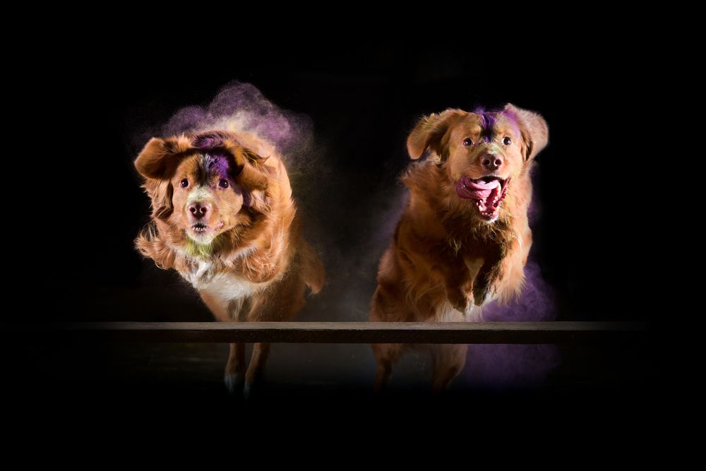 Photograph by Ирина Ивановна