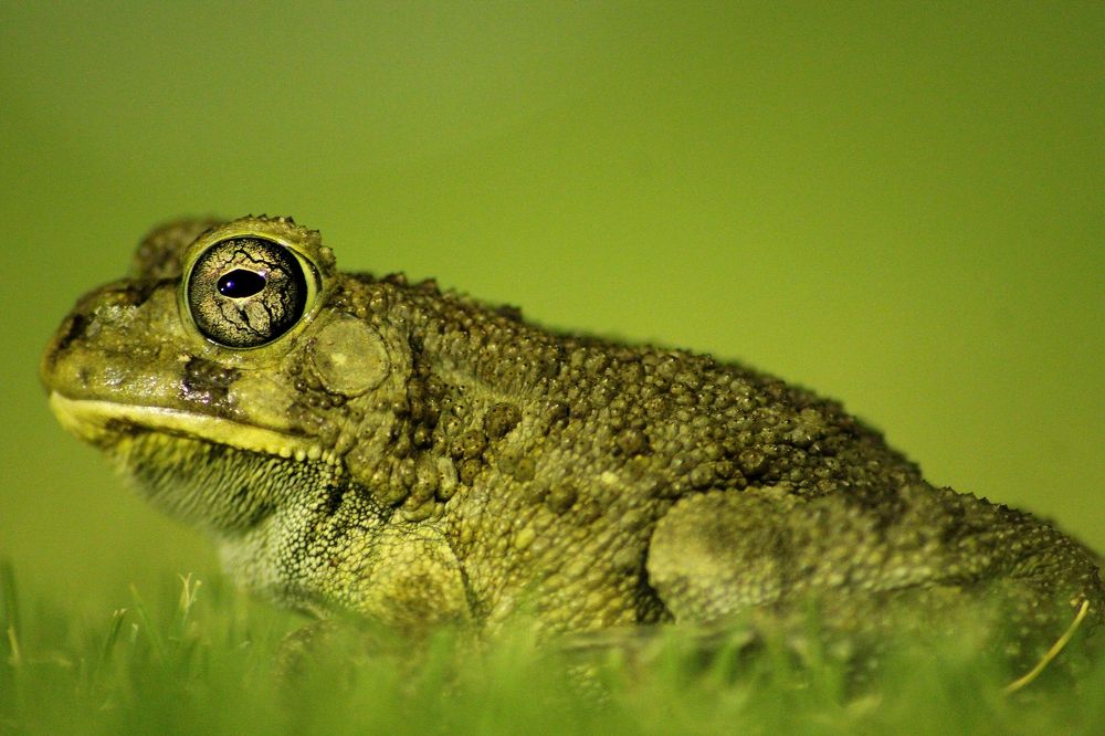 Photograph by Paramantham Thusyananthan