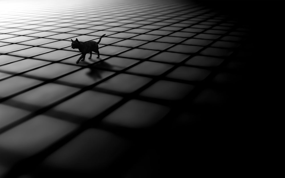 Photograph by arastoo qadermazi