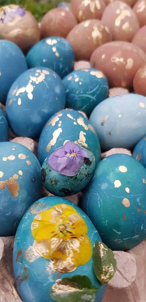 Фотография автора Ольга Мусина