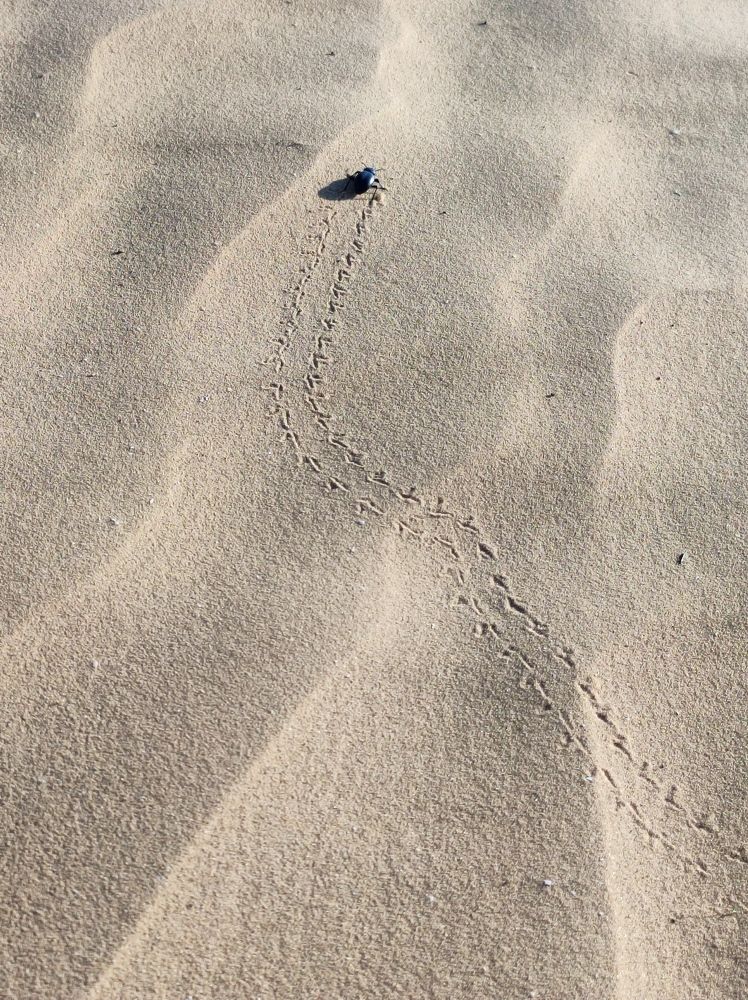 Photograph by Надежда Батракова