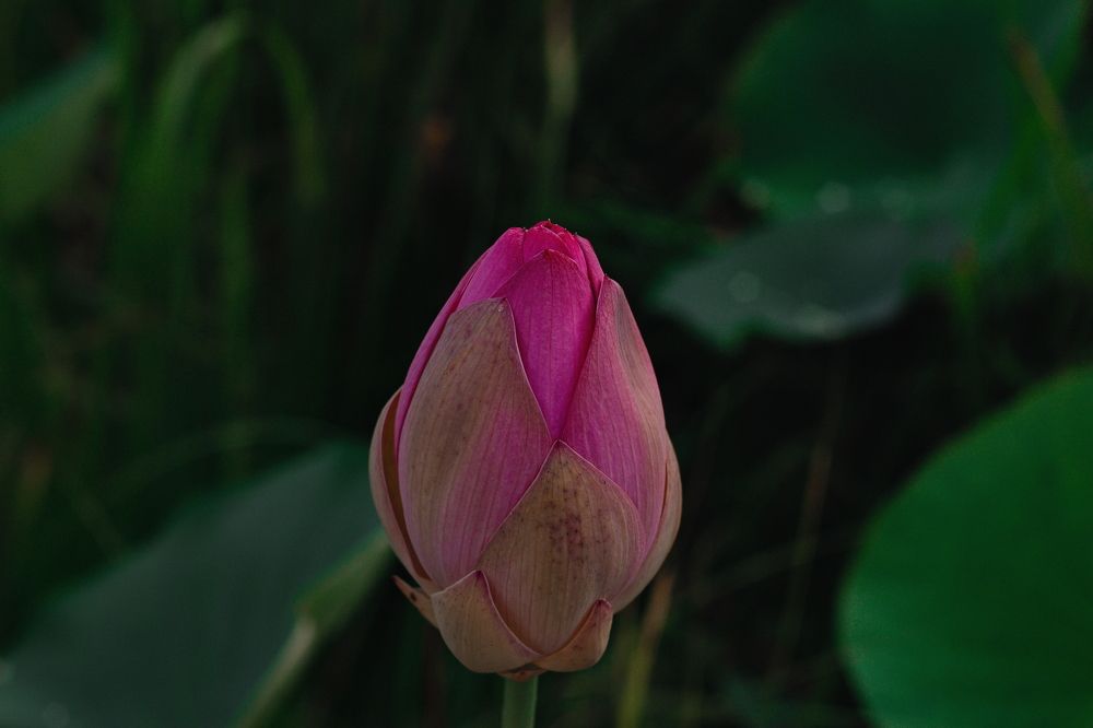 Photograph by Nina Kiseleva