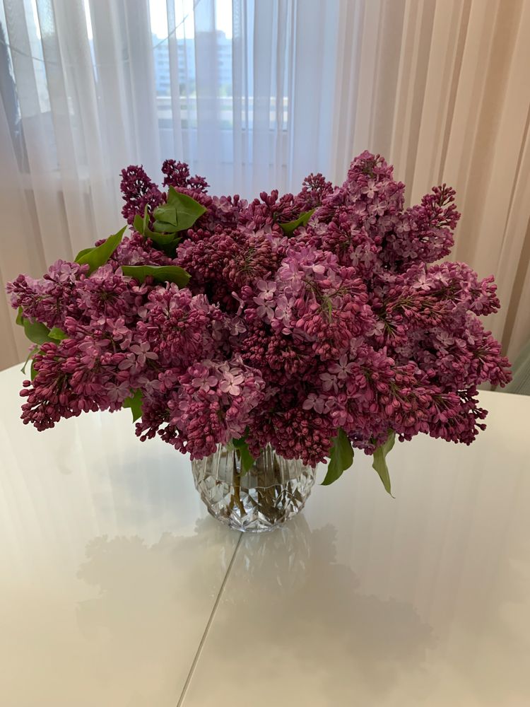 Photograph by Елена