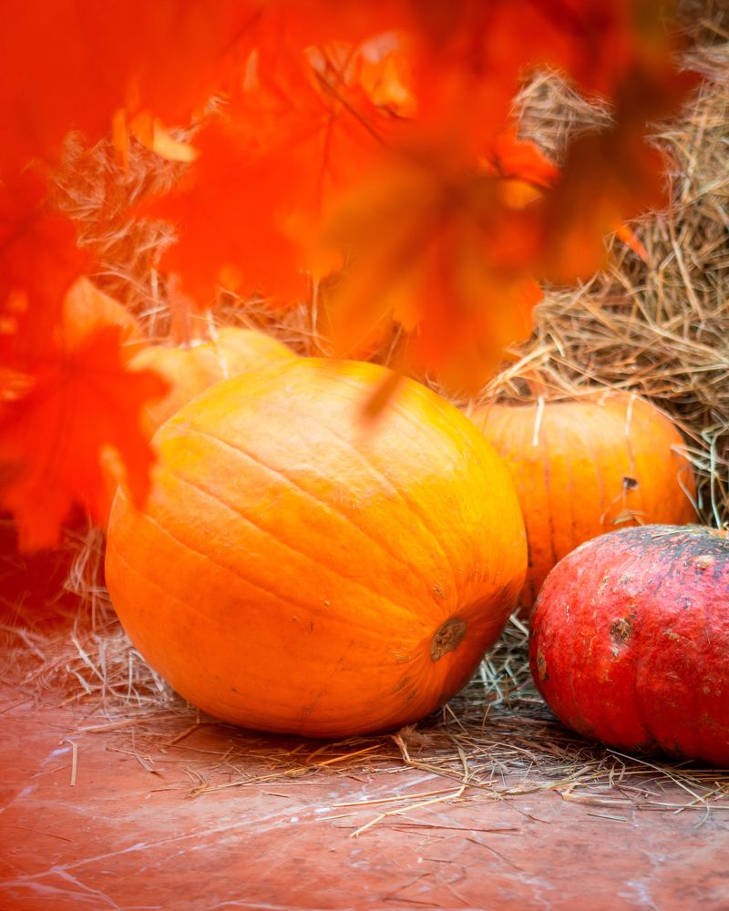 Photograph by Ярослав Изотов