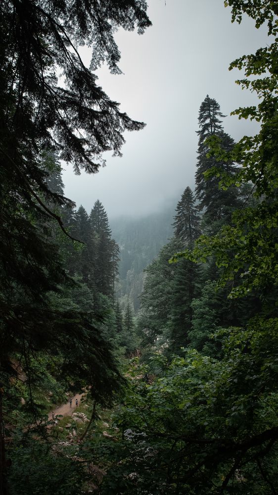 Photograph by Александр Битюков