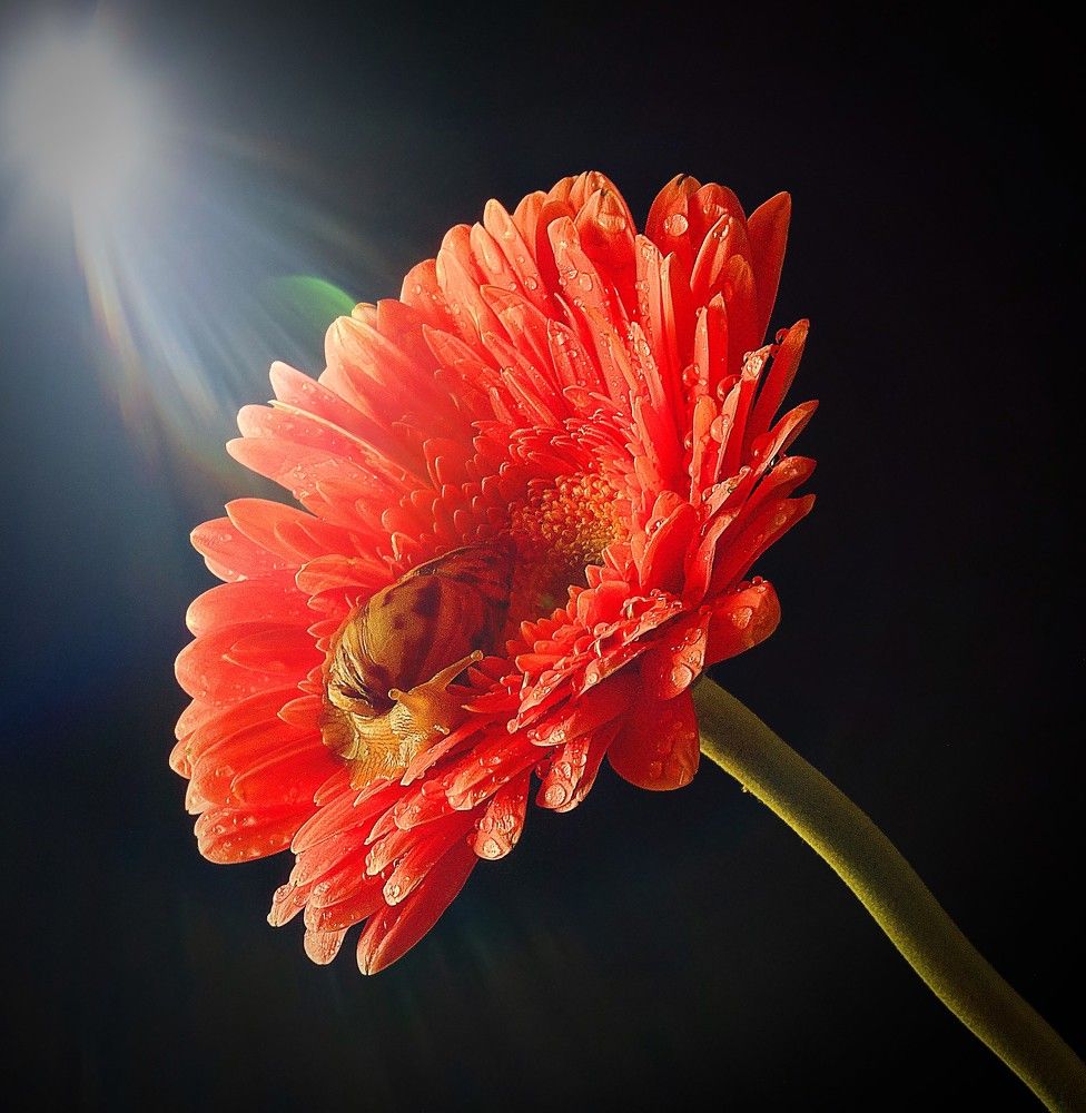 Photograph by Людмила ЧЕРНИКОВА