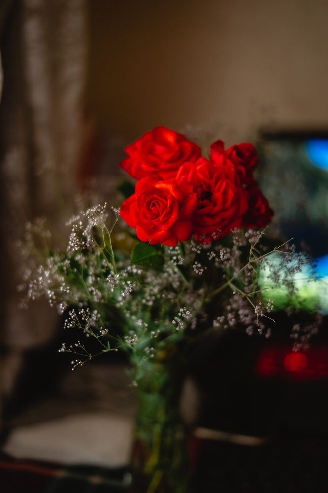 Photograph by Андриянова Юлия