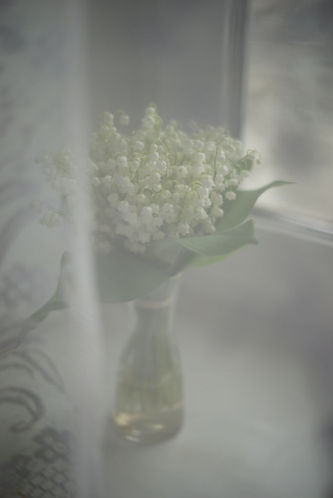 Photograph by Андриянова Юлия