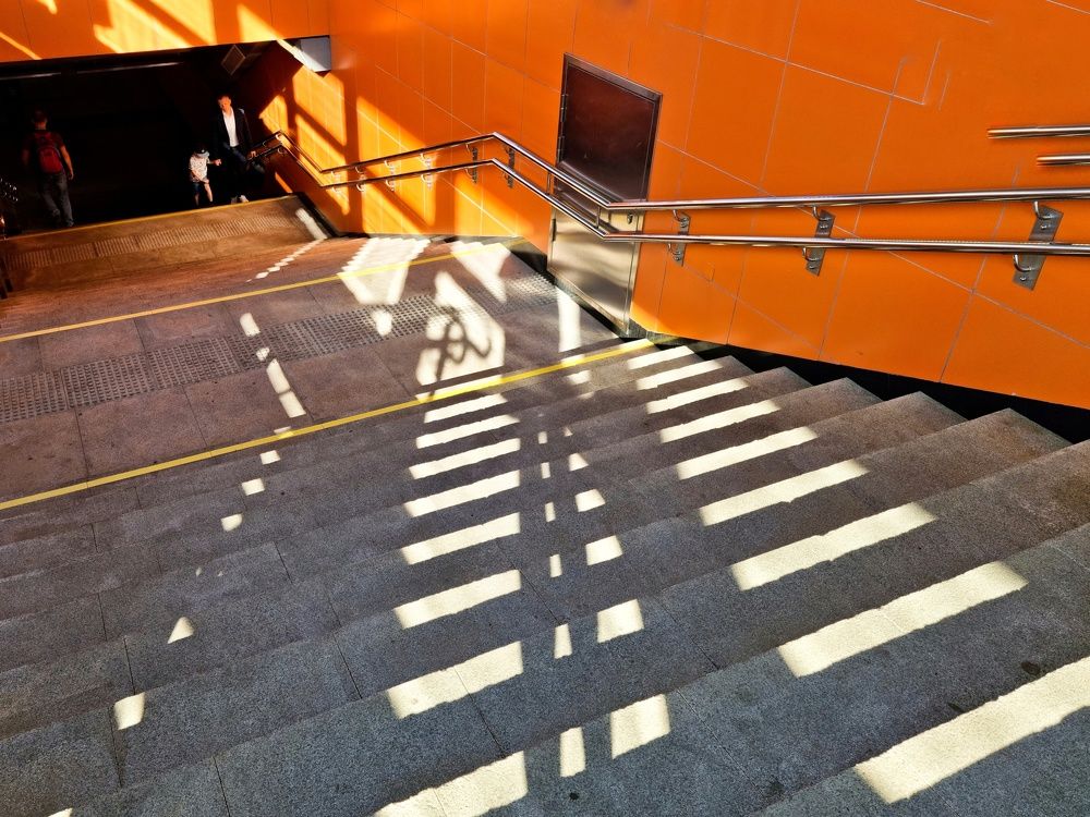 Фотография автора Светлана Алексеева