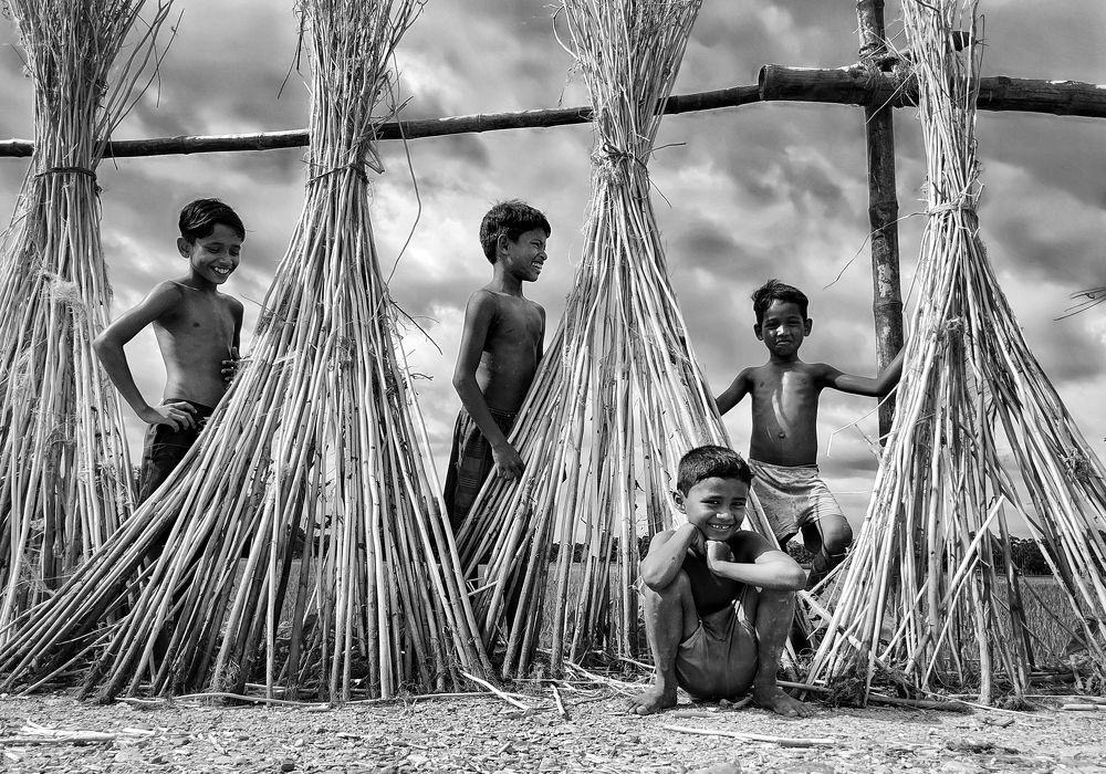 Фотография автора PRADIPTAMOY PAUL