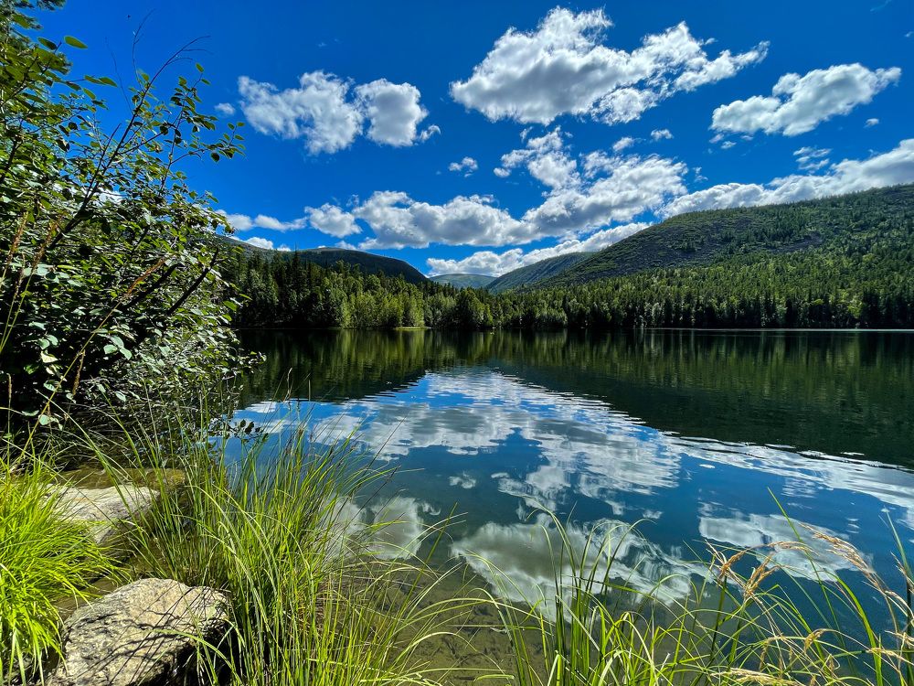 Photograph by Михаил Назаров