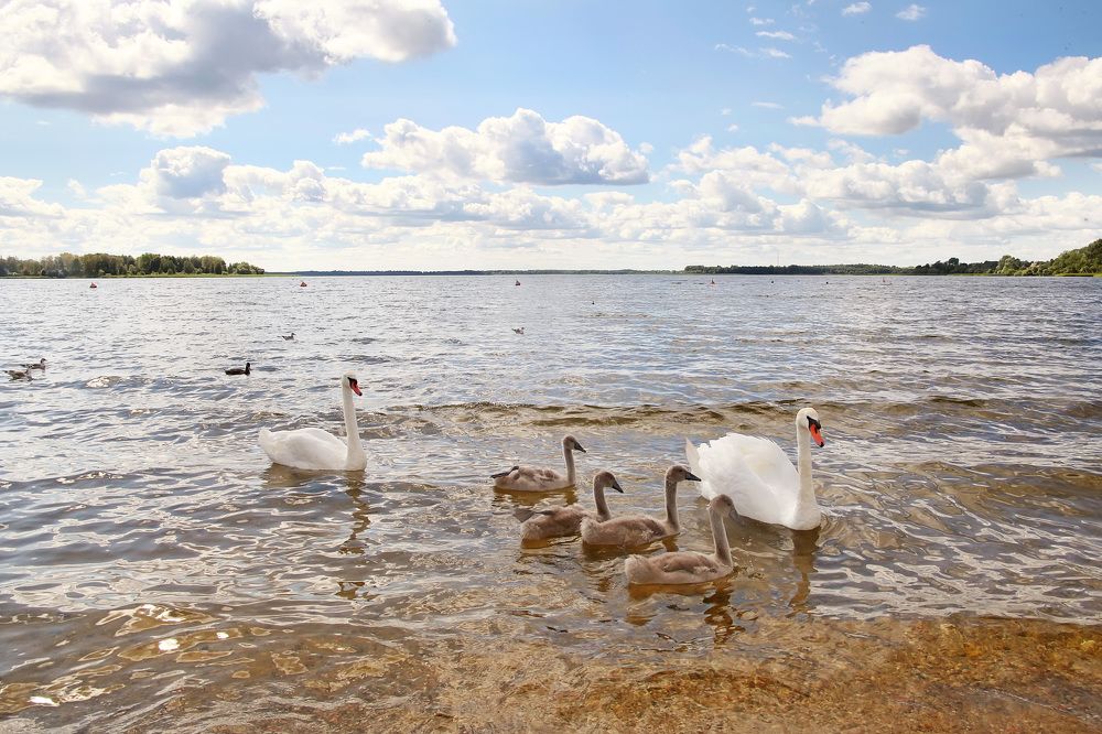 Photograph by Юлия