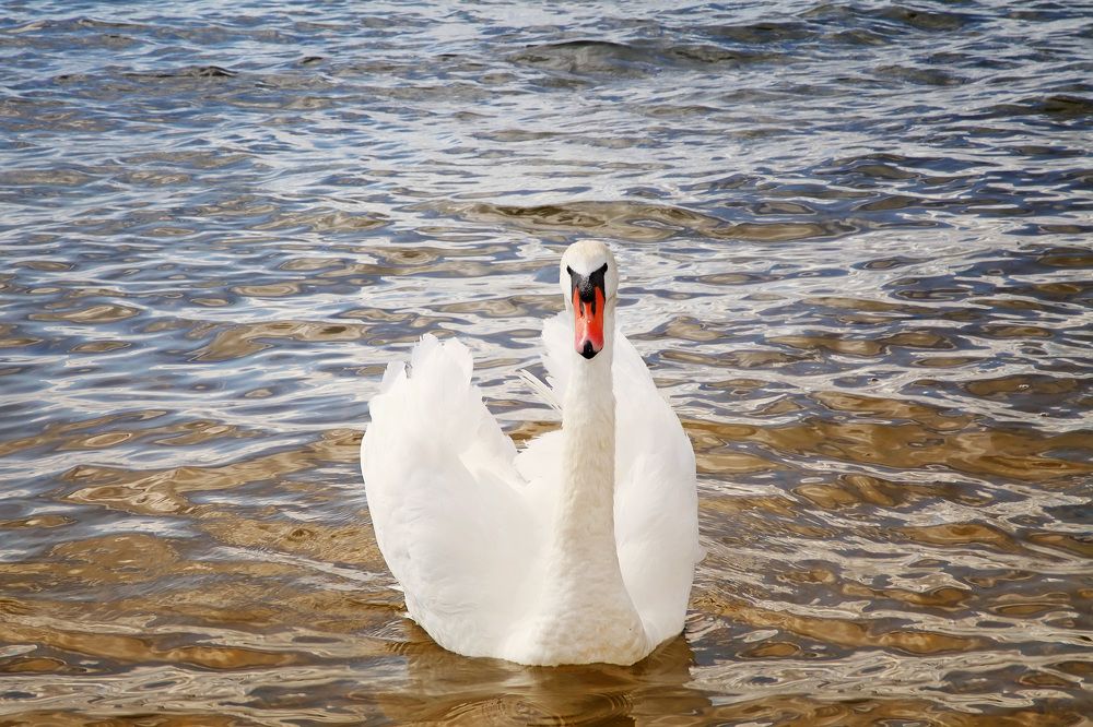 Photograph by Юлия