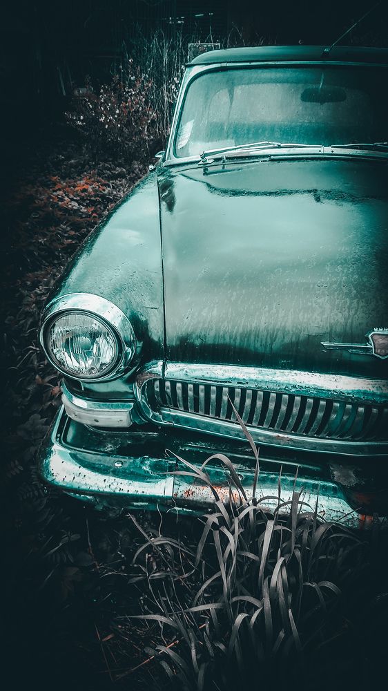 Фотография автора Кристина Шефер