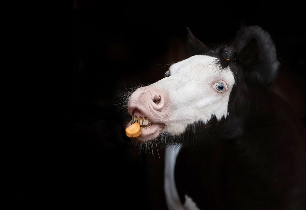 Photograph by Любовь Похабова