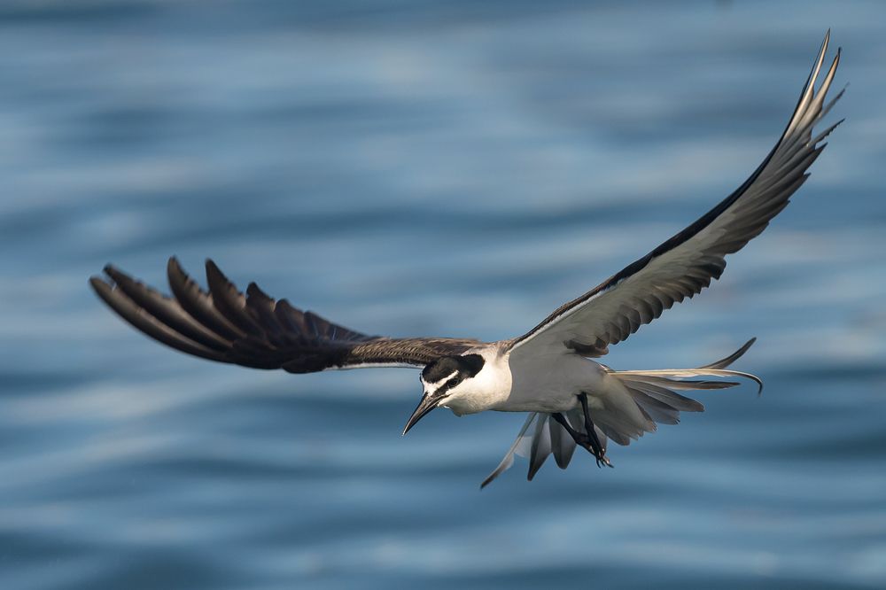 Photograph by Benny Chan