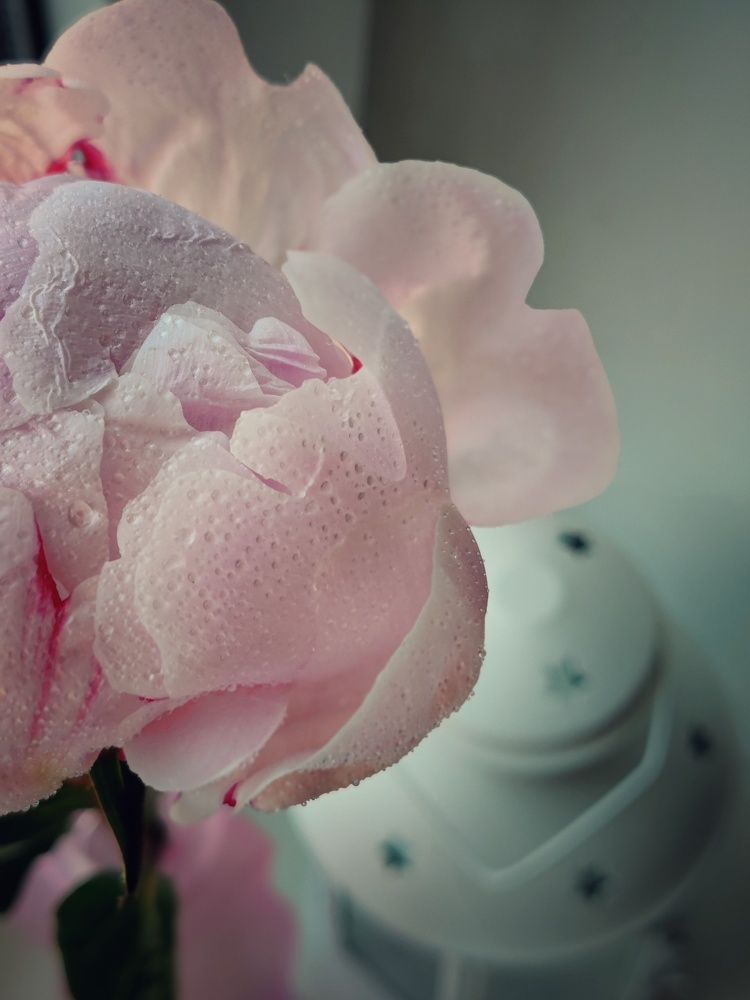 Photograph by Anastasia Uraeva