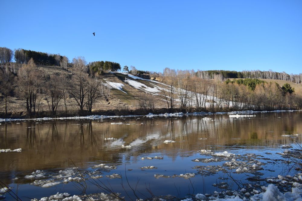 Photograph by Наталья Еременко