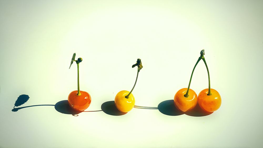 Photograph by Людмила Волкова