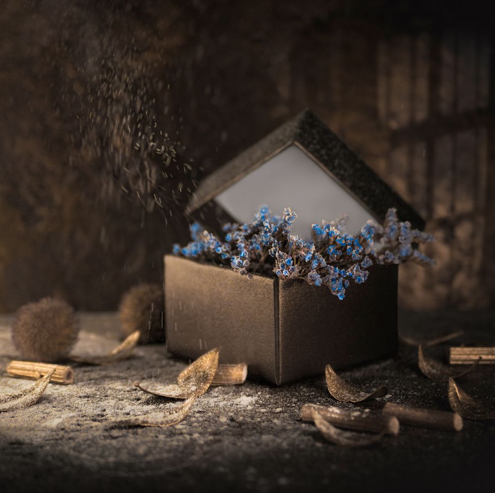 Photograph by Захарова Надежда