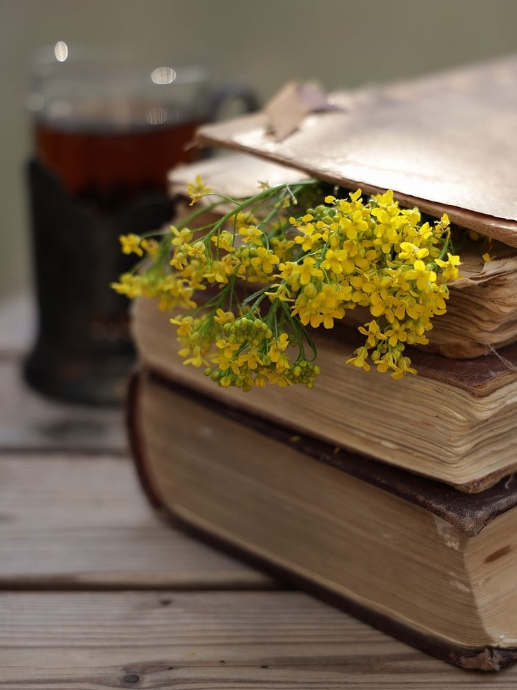 роман с рапсом (romance with rapeseed)