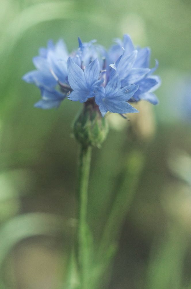 Photograph by Александр Гончаренко