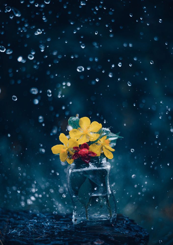 Photograph by Jay Vicencio