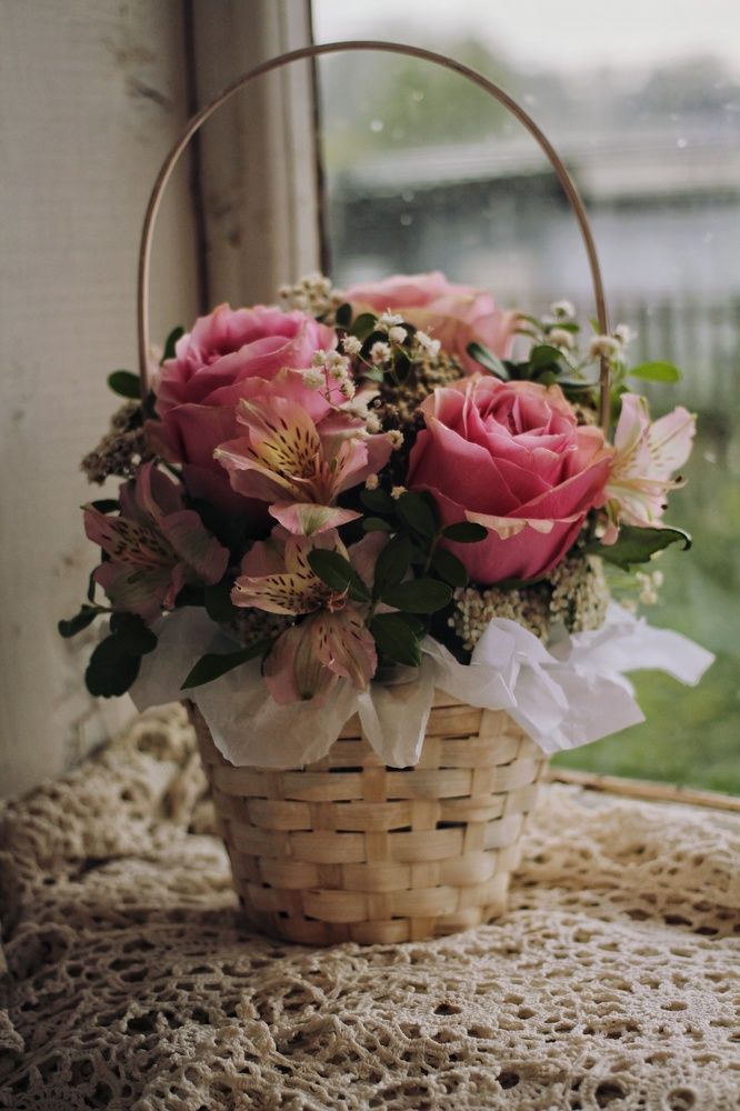 Фотография автора Евгения Снигирева