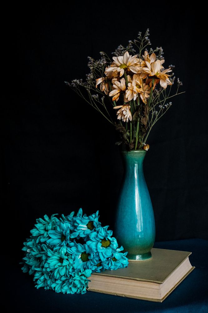 Photograph by Екатерина Савенкова