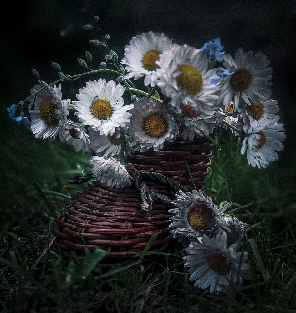 Photograph by Дина Чаица