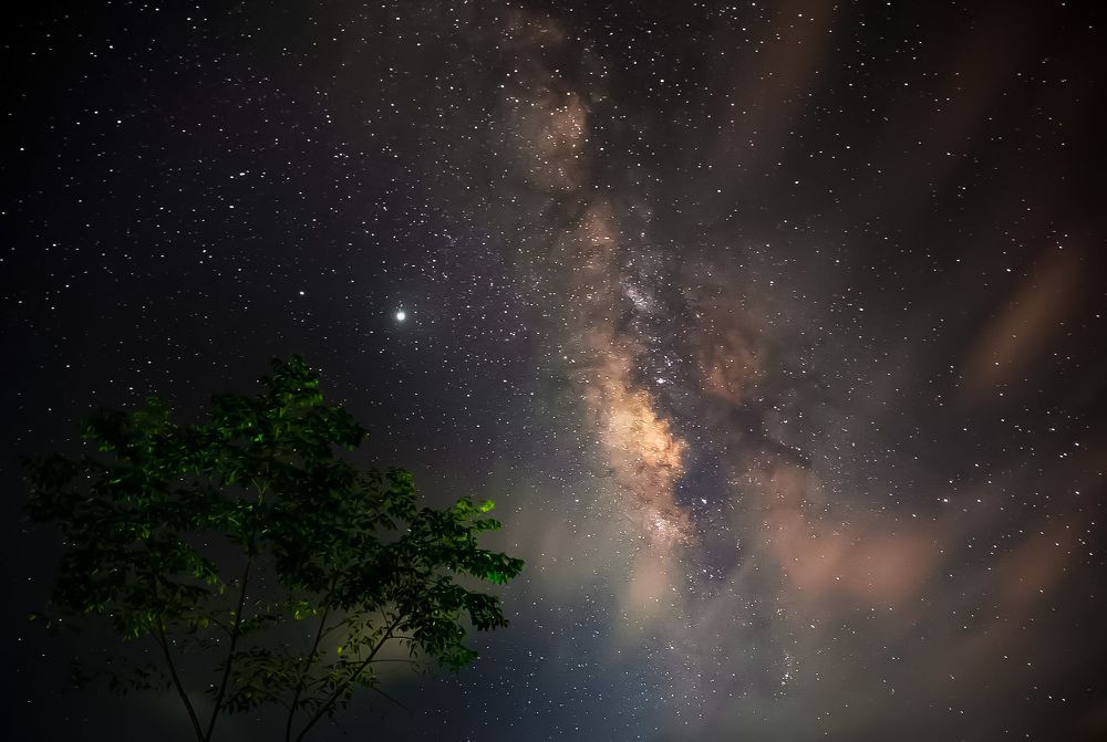 The Milky Way has reached the top of the tree