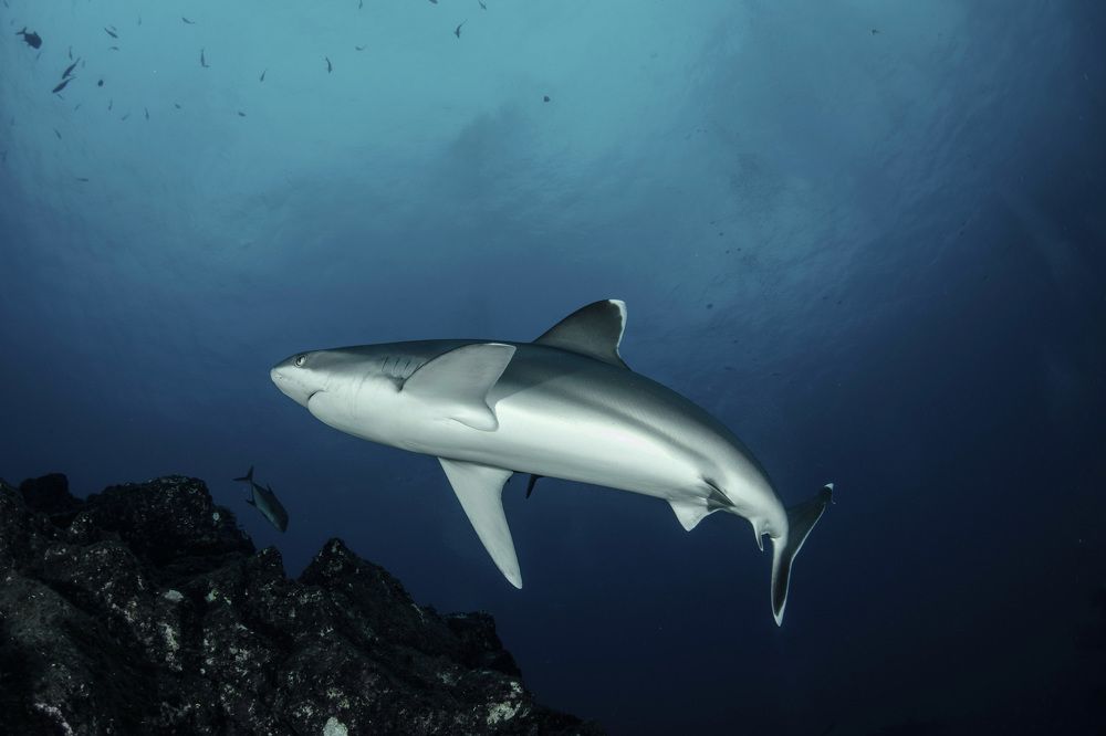 Photograph by Deniz muzaffer Gokmen