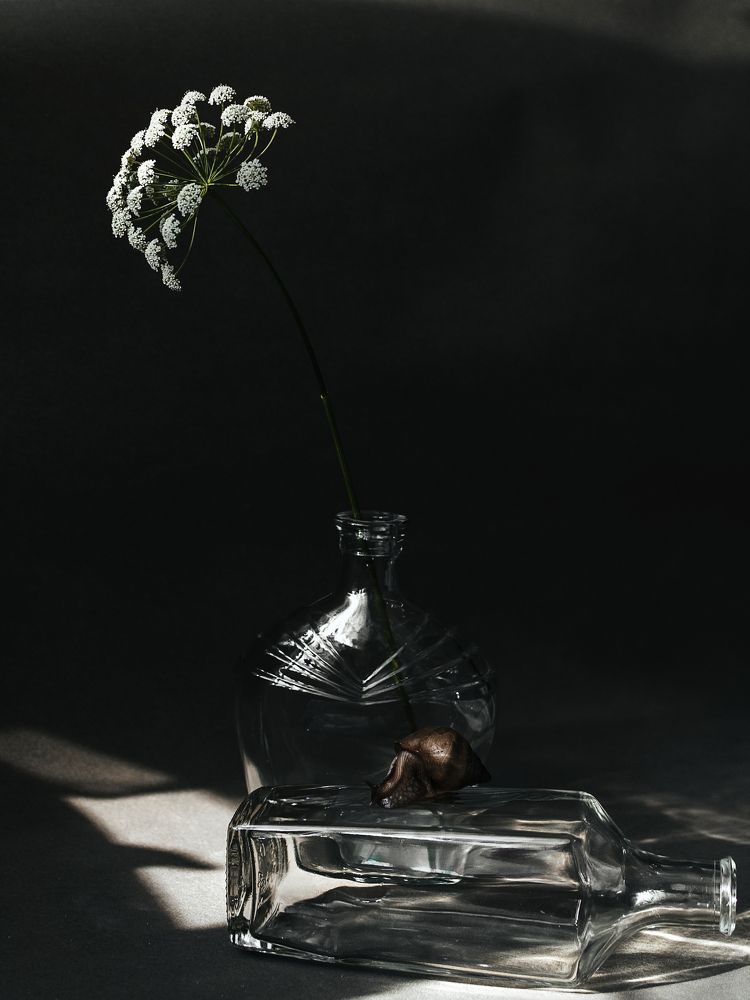 Photograph by Надежда Раскина