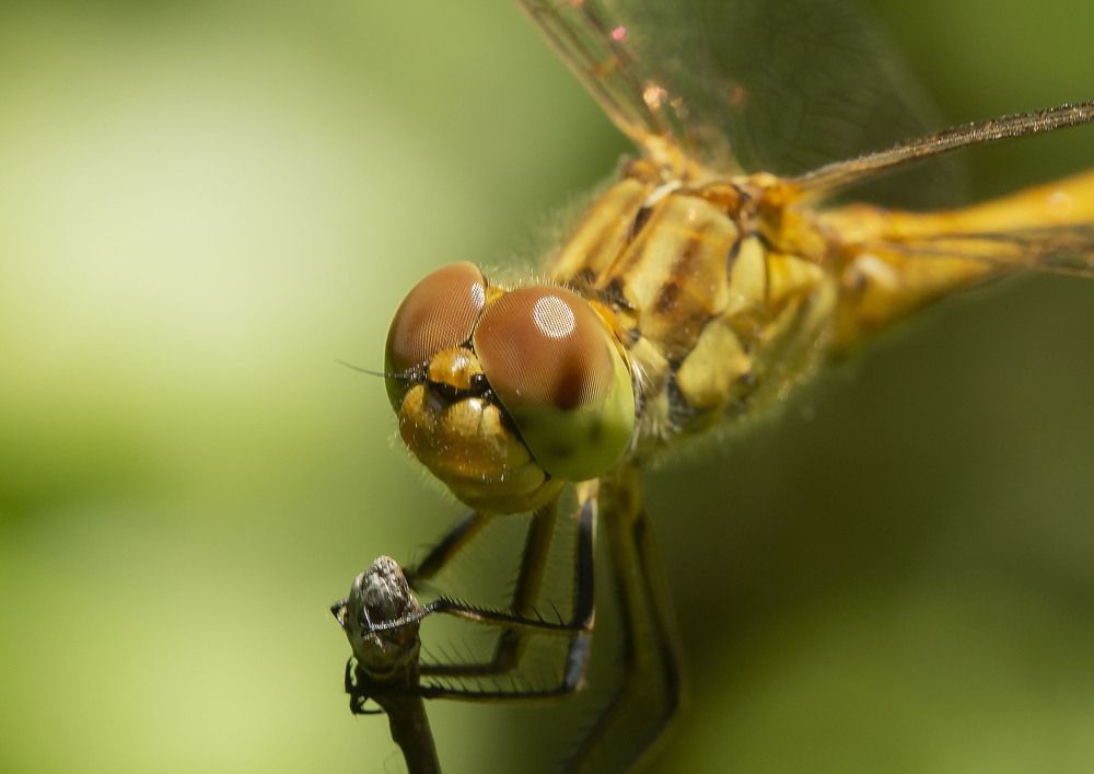 Photograph by Борис Саватюгин