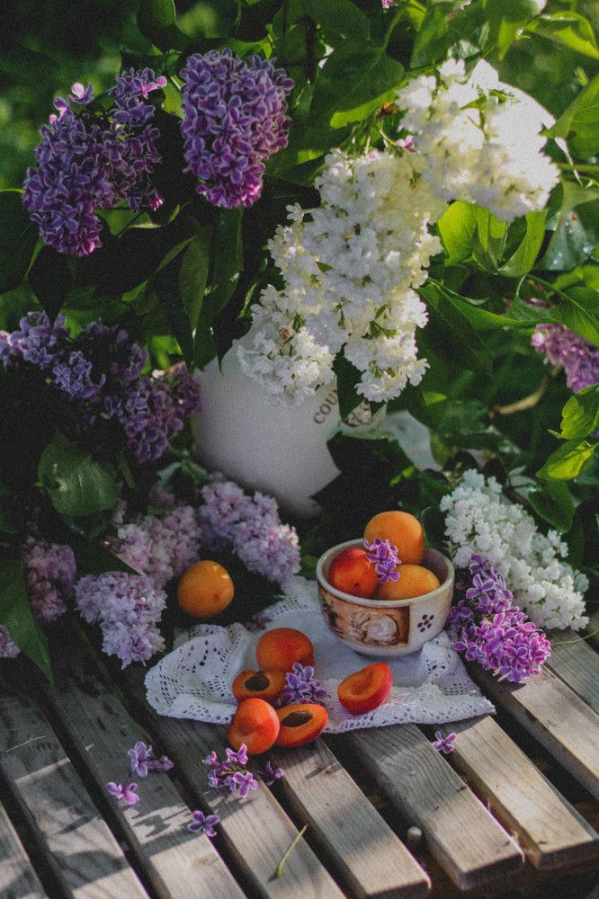 Photograph by Нина Сурнина