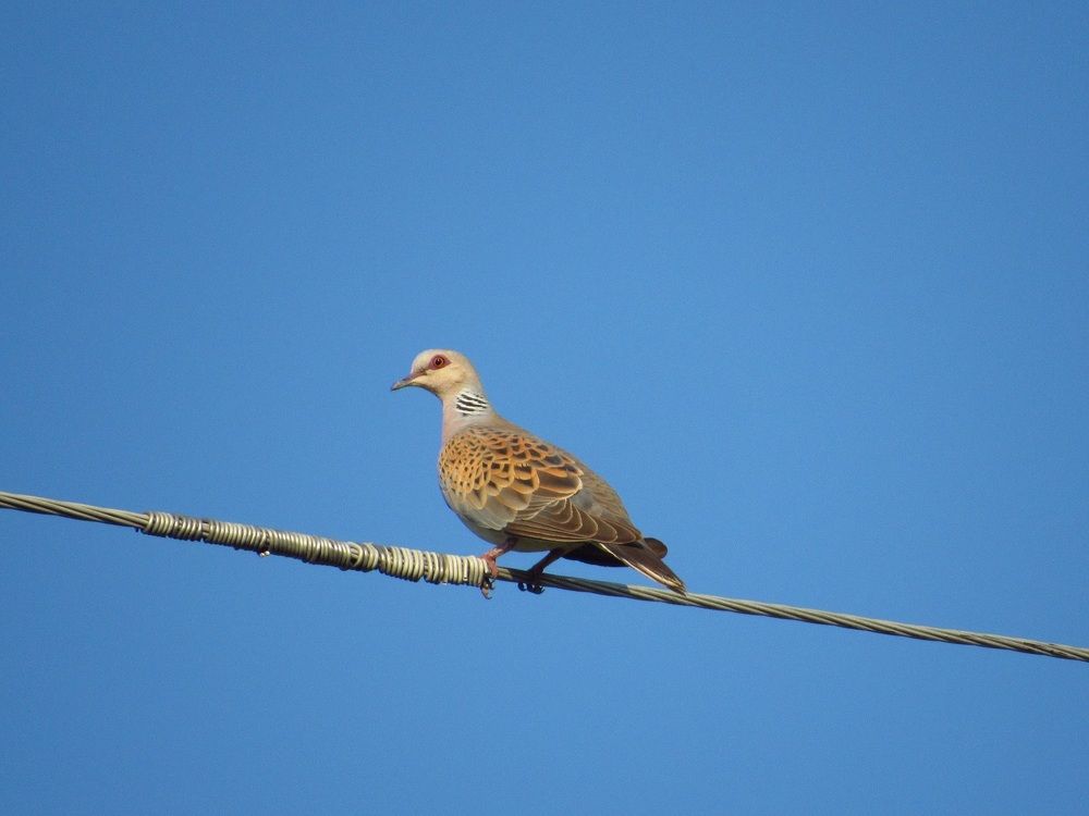 Photograph by Денис Веску